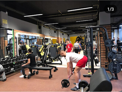 Evolve gym
