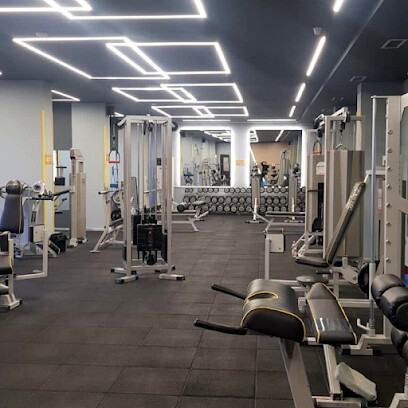 Hollywood Gym