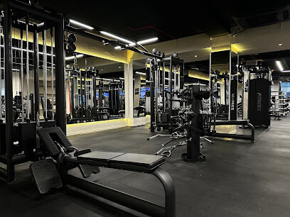 LifeTime Gym&Fitness