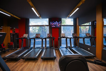 Premium Fitness