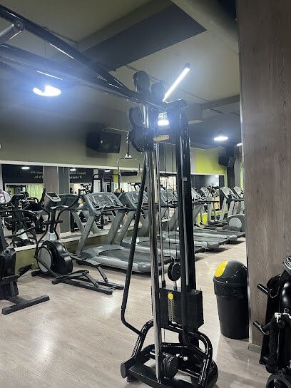Elite Fitness