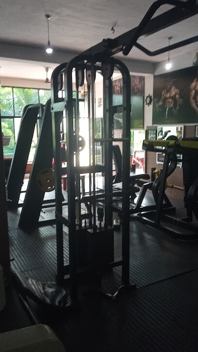 power Asian Gym