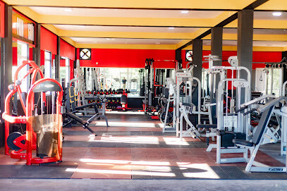The Royal Gym