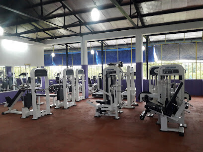 ART OF FIT MEGA GYM