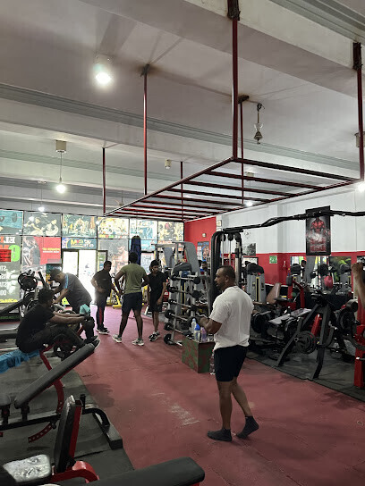 ELITE GYM