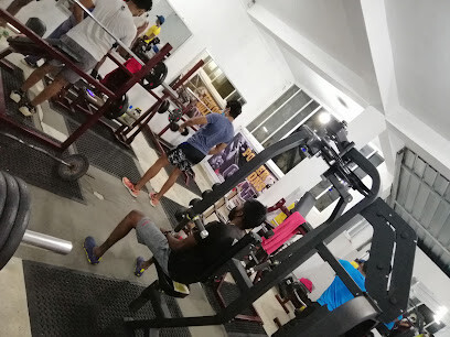 Power Lions Gym