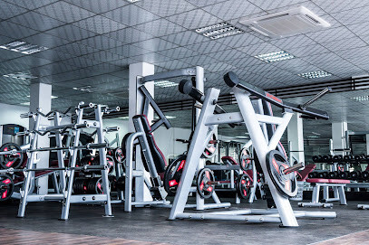 Yaarl Fitness