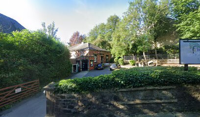Willow Tree Day Nursery