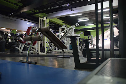 Fitness Club Shark