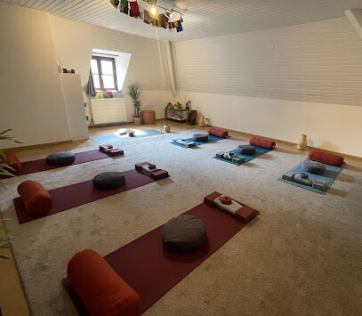 Sattva Yoga Yoga with Eva