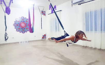 Vibes Aerial Yoga Fitness