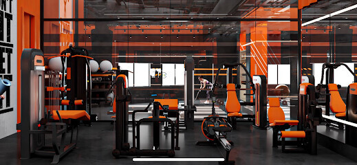 ELITE LAB GYM