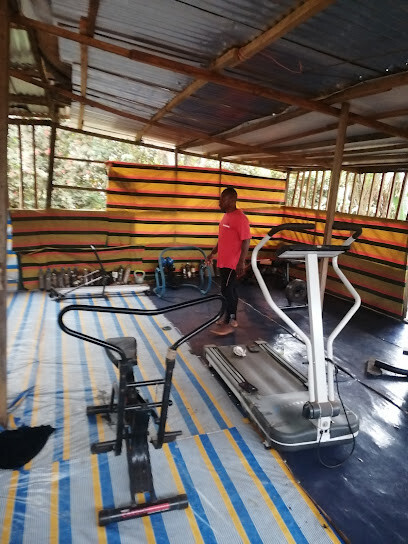 King's Gym, kumba