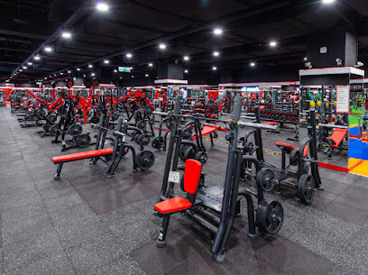 World Gym世界健身俱樂部 台南仁德店