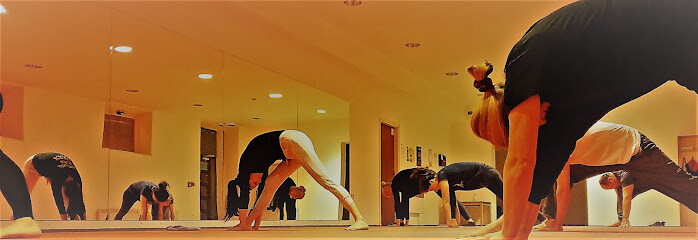 Yoga Back to Basic
