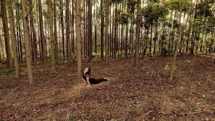 Prana Yoga e Terapias