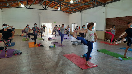 Ananda Vinyasa Yoga