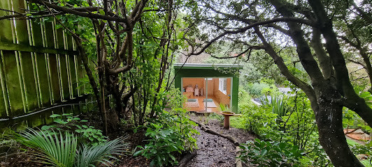 BeCalmed Yoga Studio