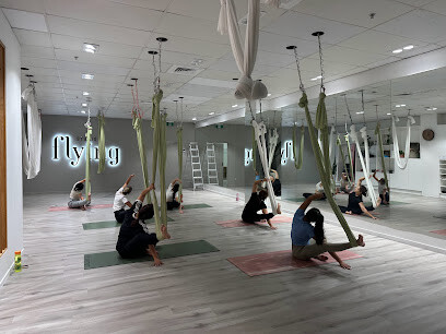 Flying Studio