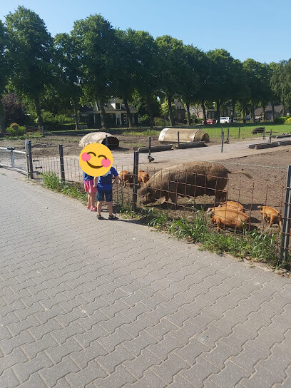 Nijntjes Thuis