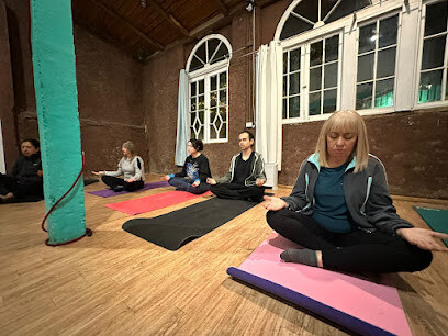 Qi Yin Gimnasia Integral