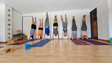 Índigo Yoga Estudio