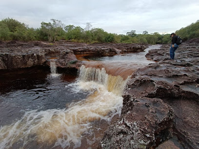 Madre Selva Tours