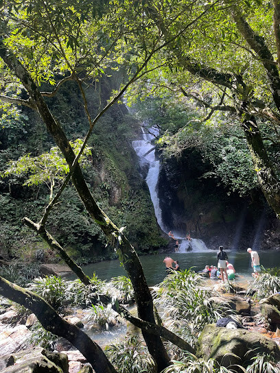 Local Guides tour