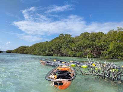 Ecofiwi
