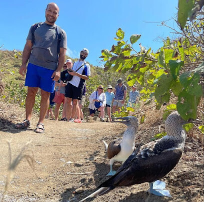 Sandpiper Tours Advisor