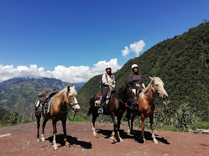 MTS Adventure