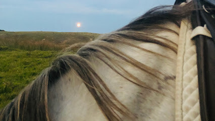 Cabalgatas Eco Equus