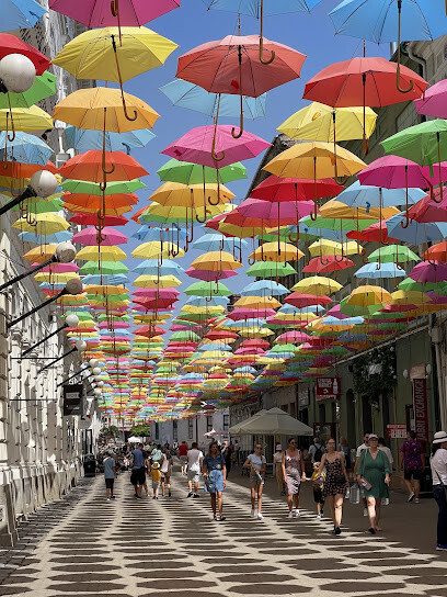 Timisoara City Tours