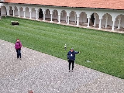 Calatorii si Vise