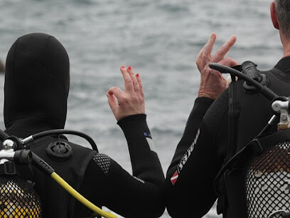 Punkfish Diving La Palma