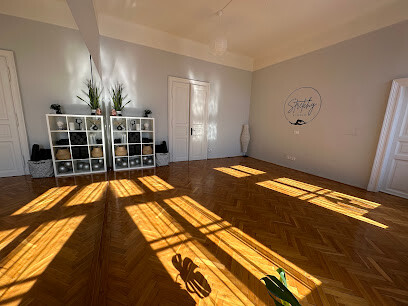 Stretchy Studio