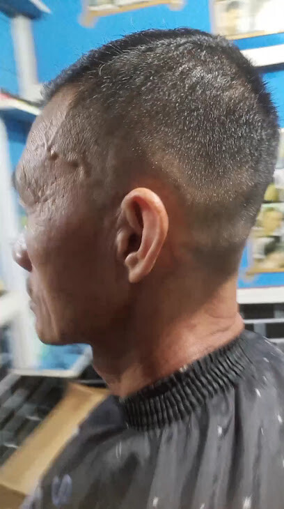 HAIRSTYLE THE BARBER'S