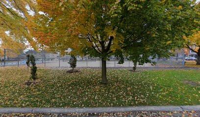 Parc Ottawa tennis courts