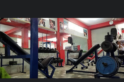 THE MONSTER GYM (ALBERTO