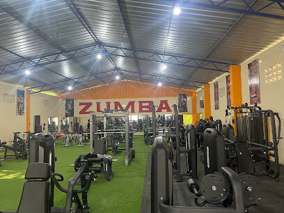 Lily Gym