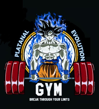 Platanal Gym Evolution