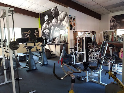 Workouts Gym