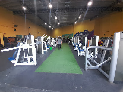 Train Hard GYM •