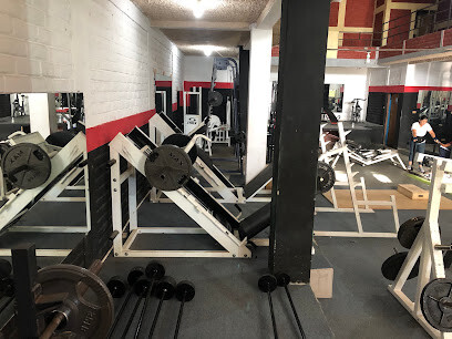 Alfa Fitness Gym