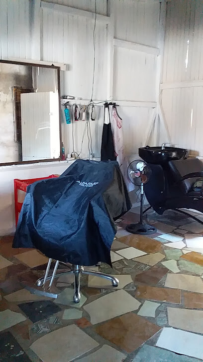 LION BARBER