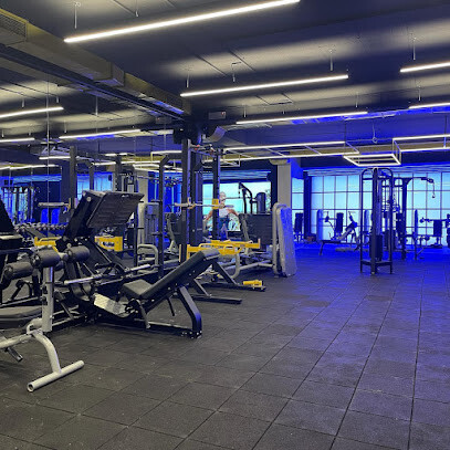 My Gym