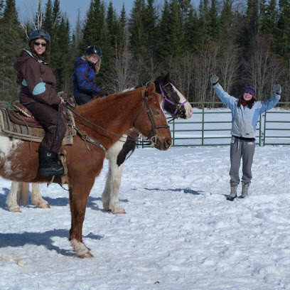 Highland Wilderness Tours
