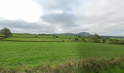 Slemish Farm Tours
