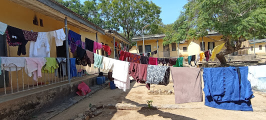 Rex Laundry Services