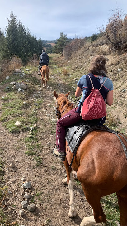 MUSTANG HORSETOUR